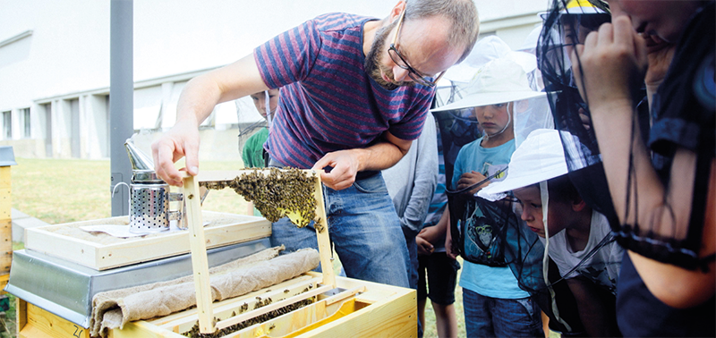 Im Museumsgarten schauen Kinder im Rahmen des Ferienprogramms einem Imker über die Schulter. © Oliver Killig