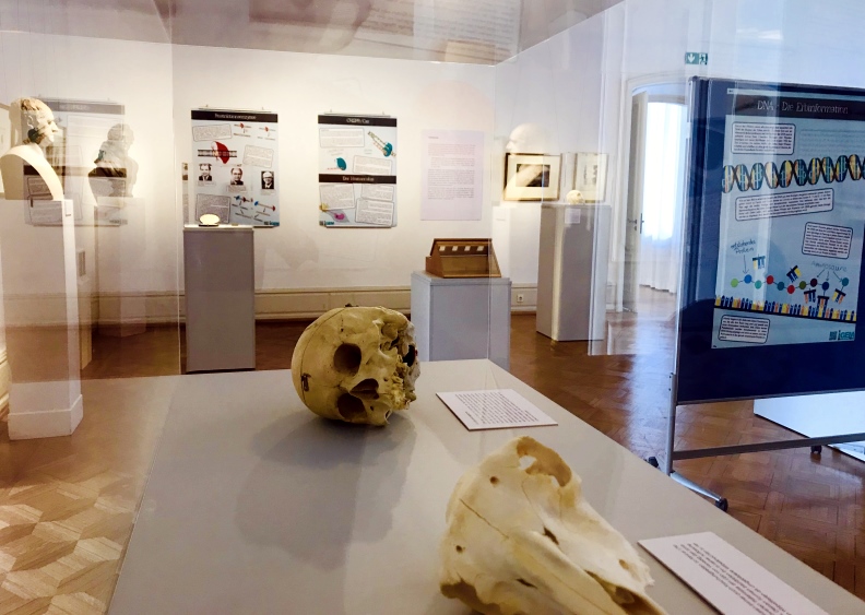 Faust-Labor, Biologie, © Goethe-Museum Düsseldorf