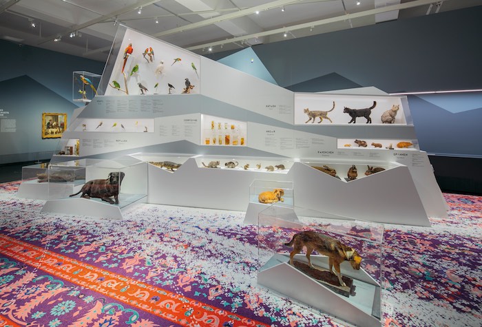 Blick in Saal 1, Foto: Oliver Killig