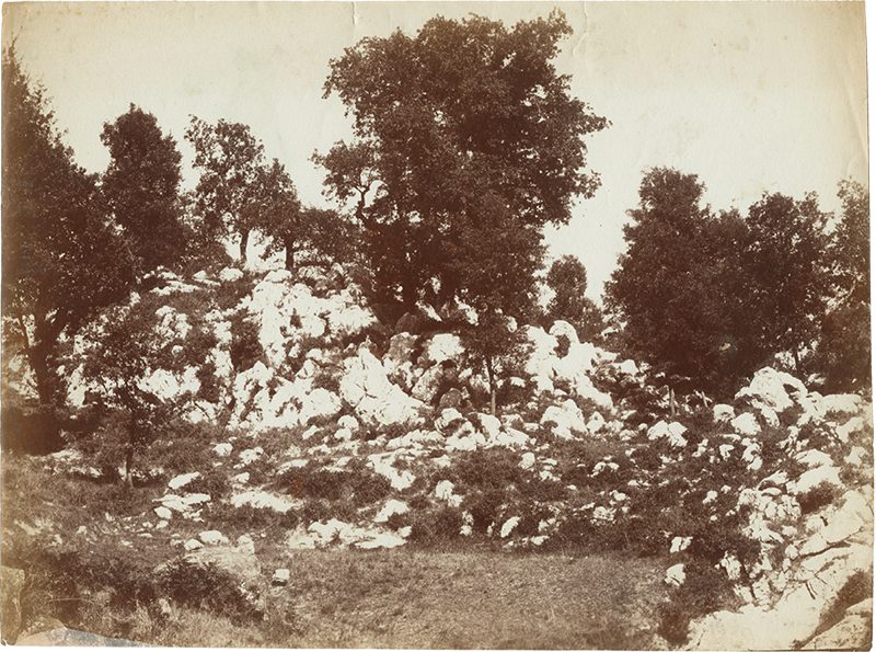 Olevano Romano - Wald der Serpentara, Bäume und Felsen, ca. 1872, Albuminabzug, Foto: Carlo Baldassarre Simelli, fondo Becchetti, Kulturministerium, Rom, Istituto Centrale per il Catalogo e la Documentazione, Inventar-Nr. FB000339
